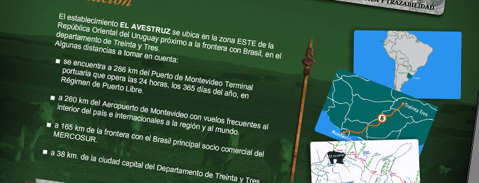 Web Establecimiento El Avestruz