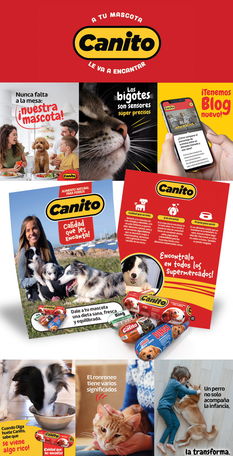 Comunicación para Canito