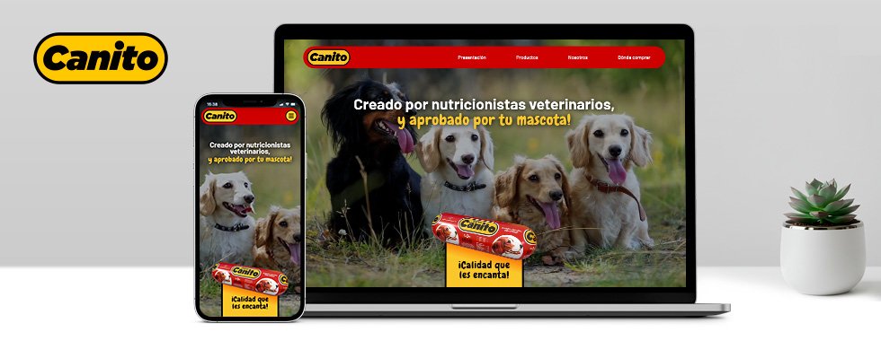 Desarrollo web